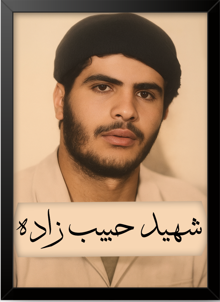 شهید حبیب زاده